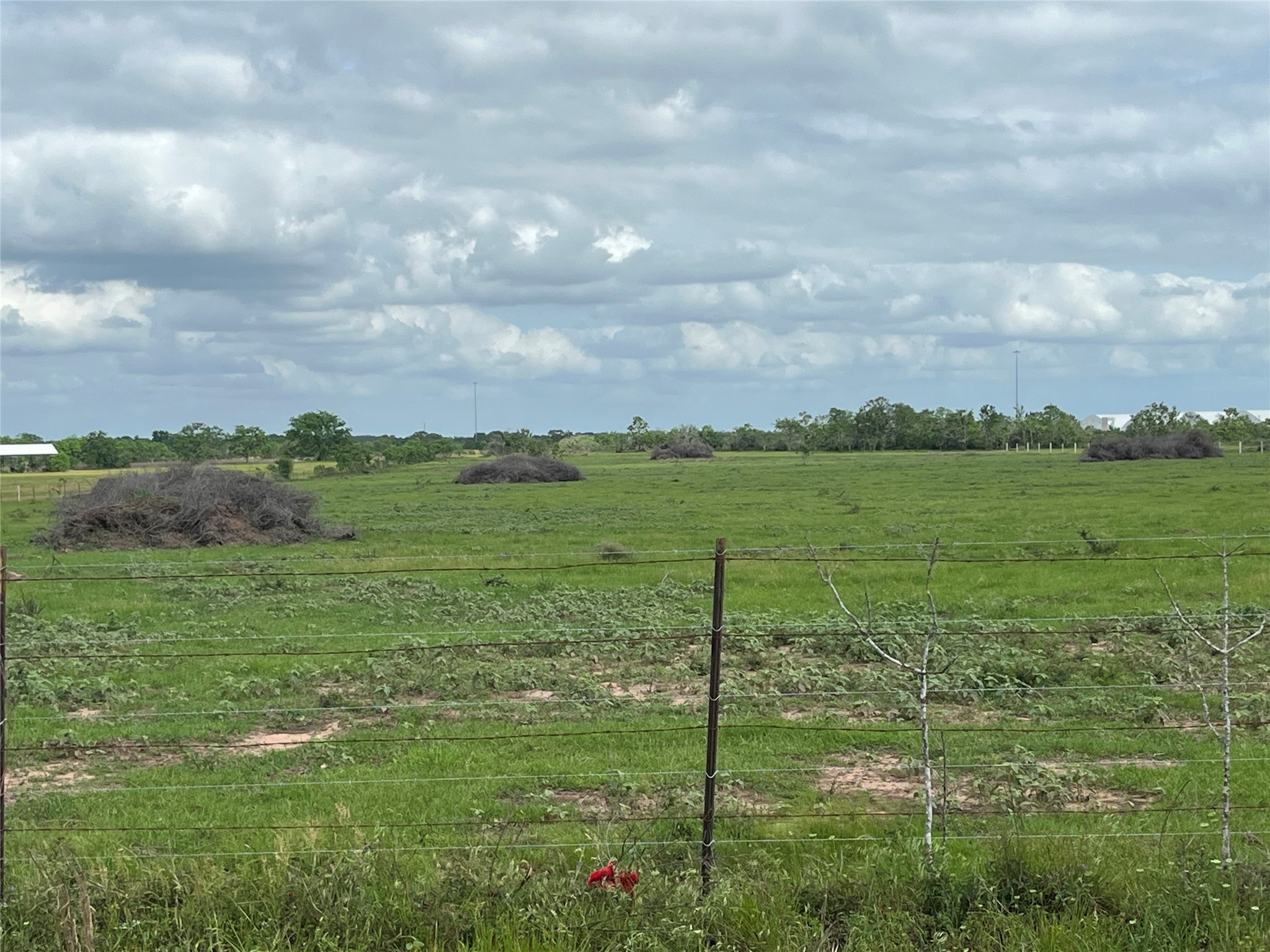 4 Kveton Road Cat Spring, TX 78933 - Photo 1 of 13