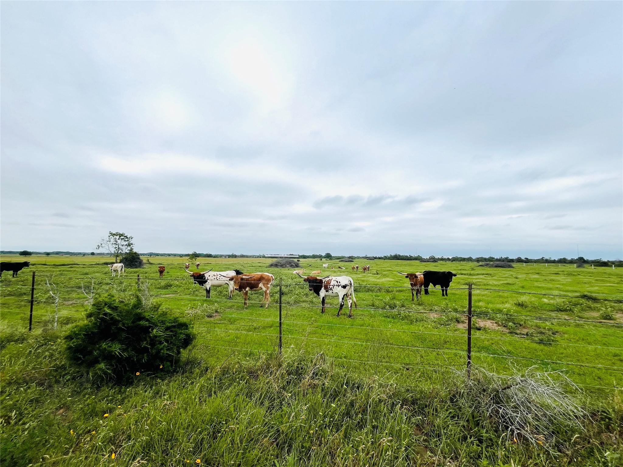 4 Kveton Road Cat Spring, TX 78933 - Photo 11 of 13