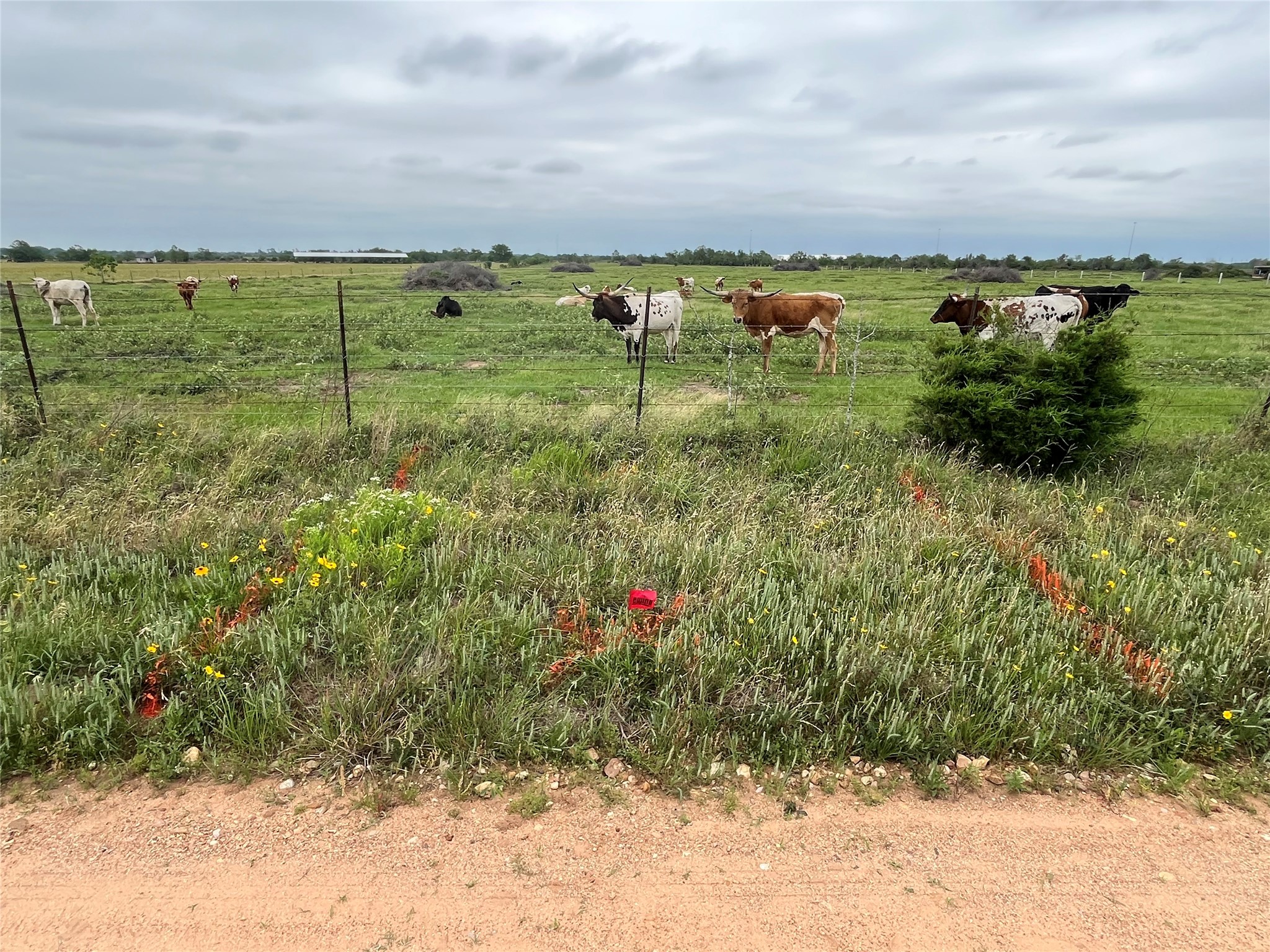 4 Kveton Road Cat Spring, TX 78933 - Photo 9 of 13 Gate to be put in