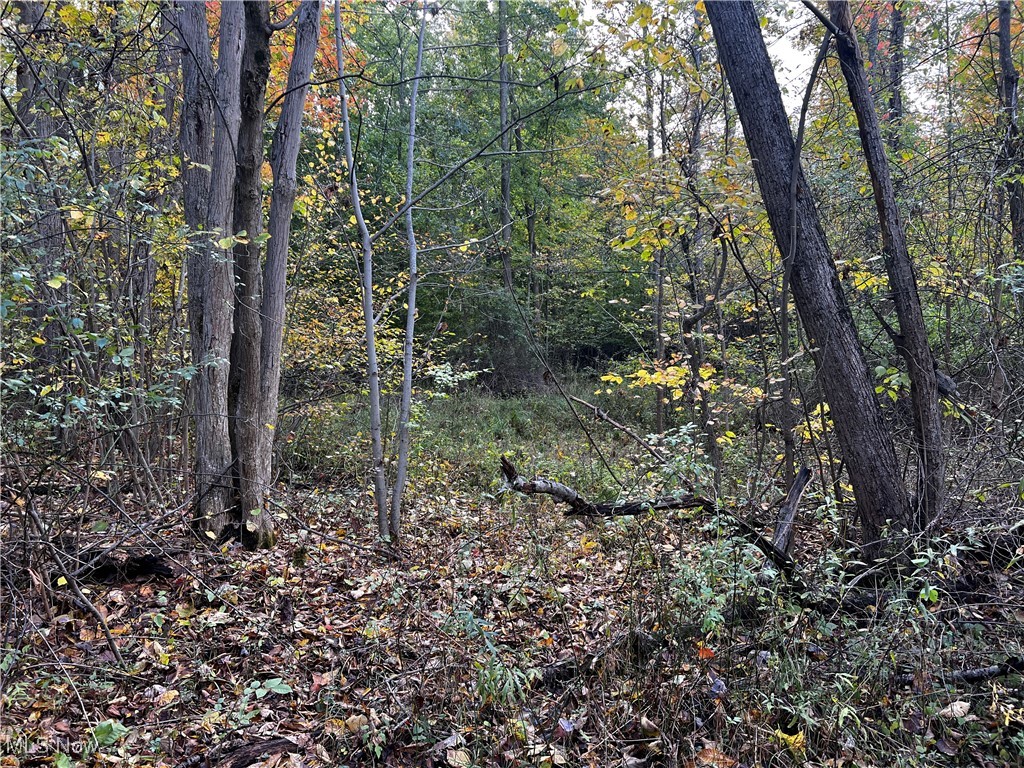 Topper Road Jefferson, OH 44047 - Photo 26 of 35