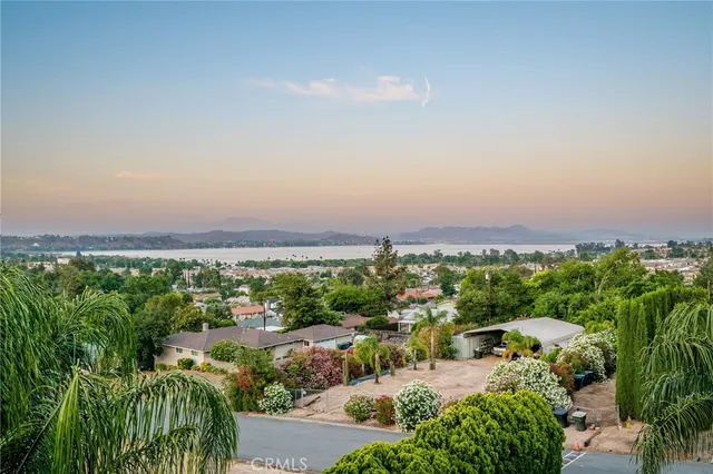 a view of a garden with a tree