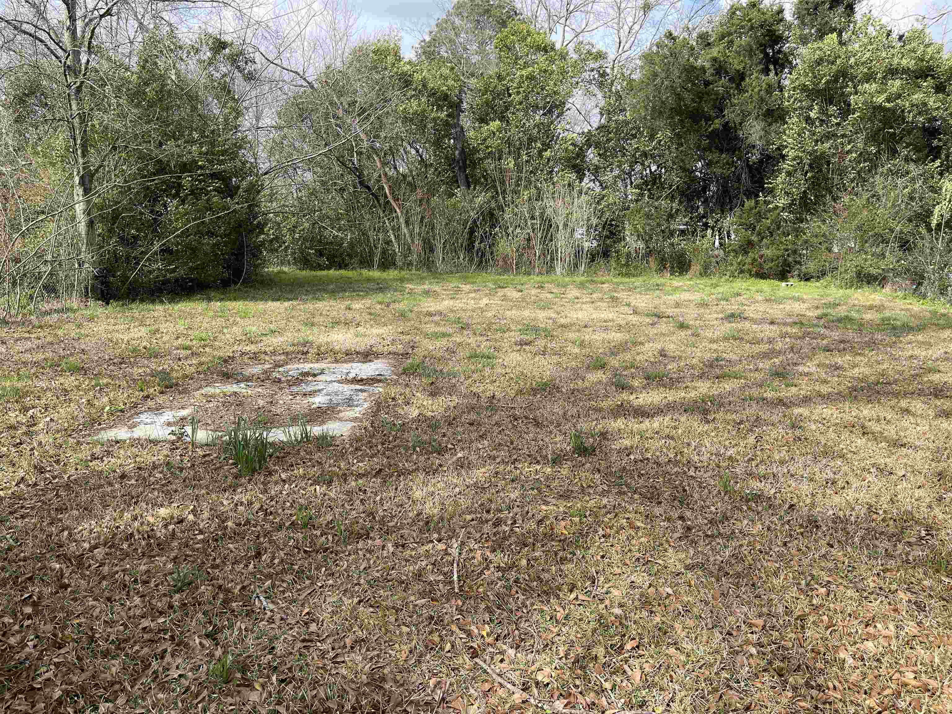 0 West Union Avenue Loxley, AL 36551 - Photo 2 of 4