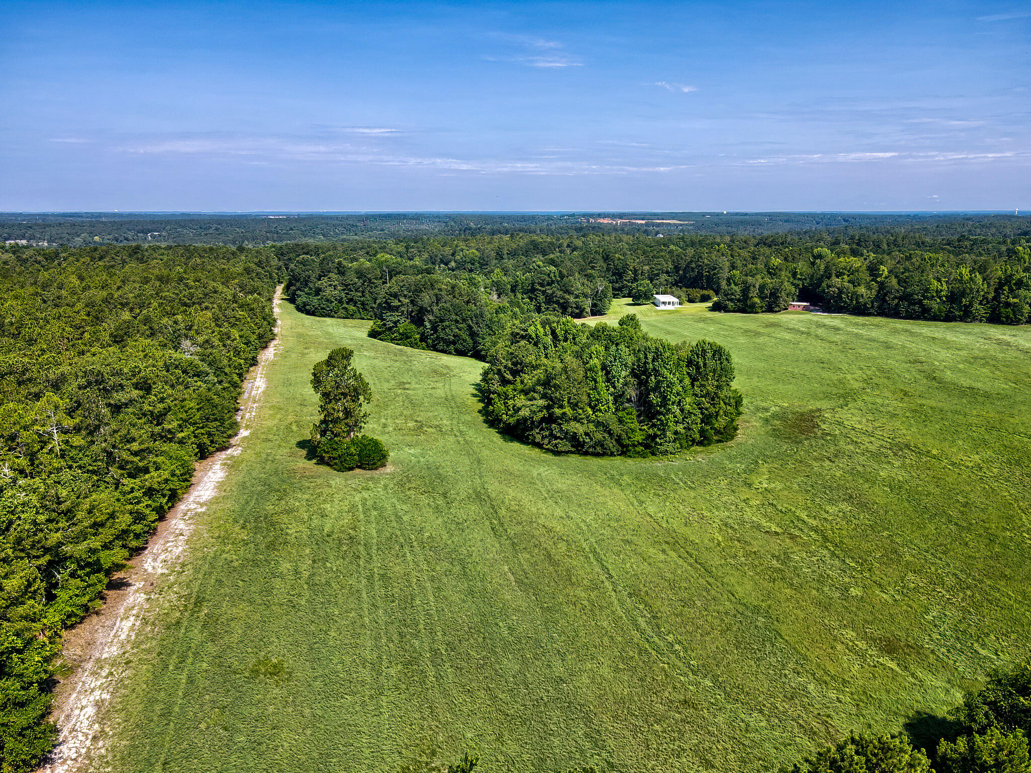 1290 Richardsons Lake Road Aiken, SC 29803 - Photo 58 of 101