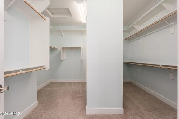 a view of roof deck with wooden floor and a potted plant