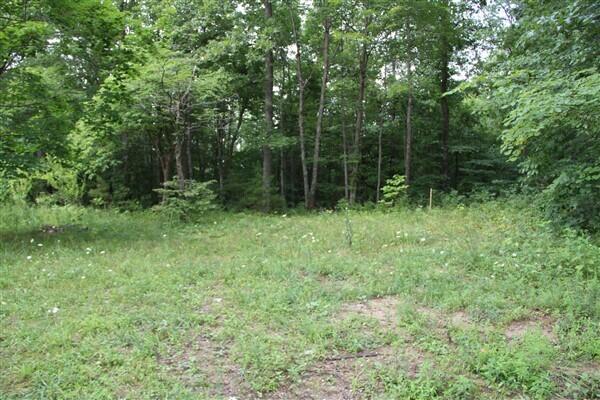 3149 Kidd Road Williamsburg, KY 40769 - Photo 4 of 16 IMG_9378