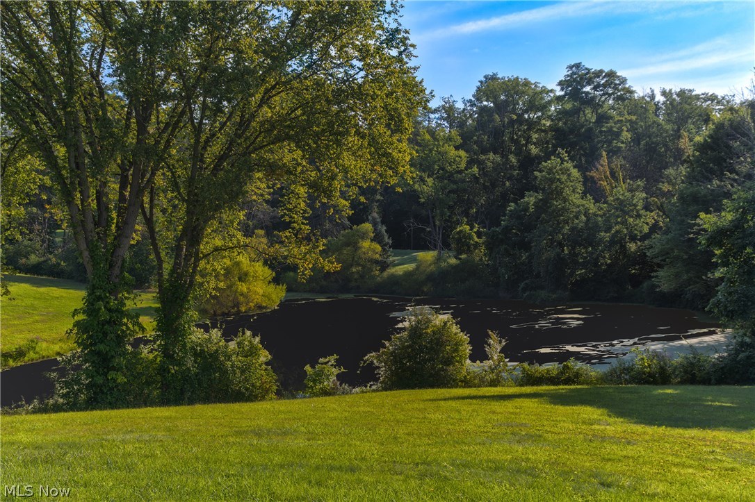 3300 River Road Perry, OH 44081 - Photo 4 of 31