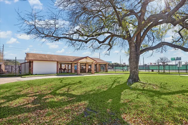 a view of a big yard next to a large tree