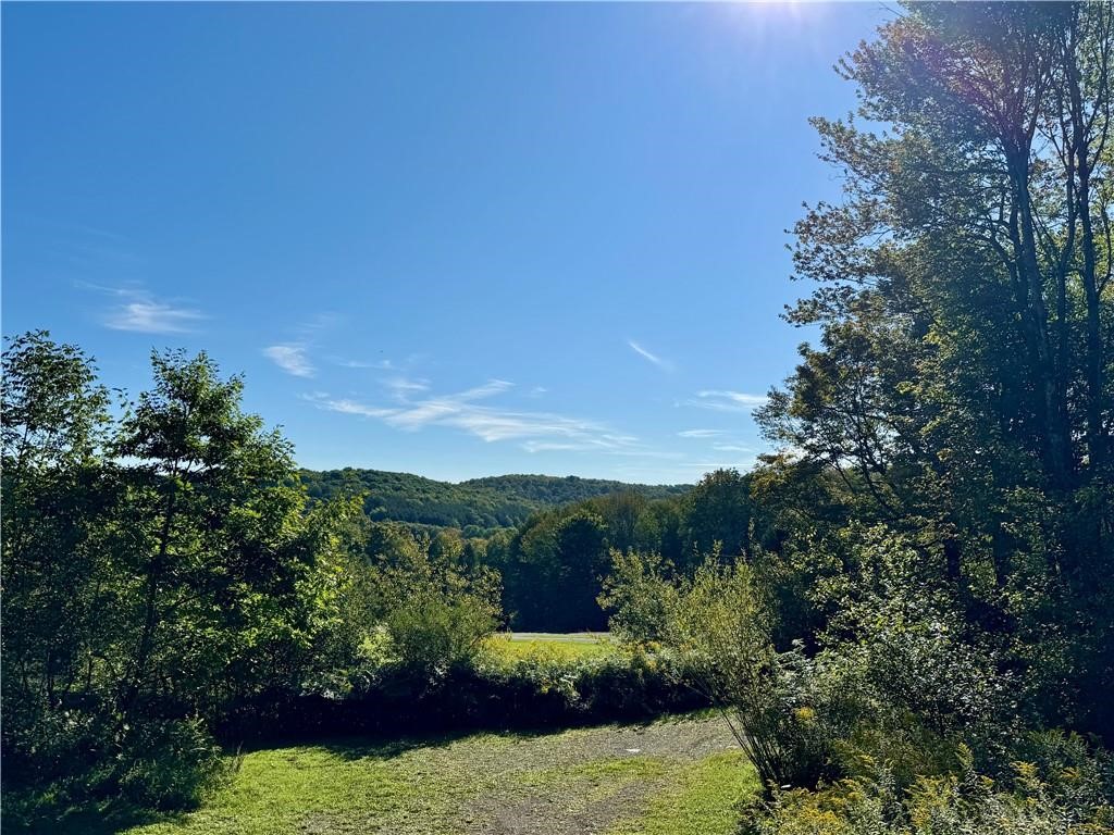 175 Hovick Road Burlington, NY 13348 - Photo 24 of 46 Chalet 3, view