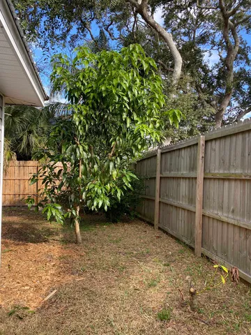 a backyard of a house with lots of green space