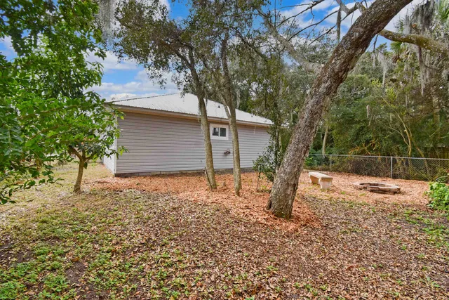 a view of a tree with a plant in front of it