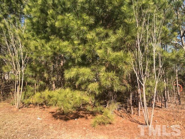 4017 Rock Quarry Road Raleigh, NC 27610 - Photo 3 of 3