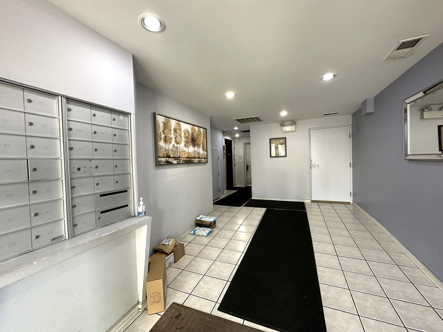 475 West 24th Street, Unit 4G Chicago, IL 60616 - Photo 3 of 20 a view of walk in closet with clothes and shoes
