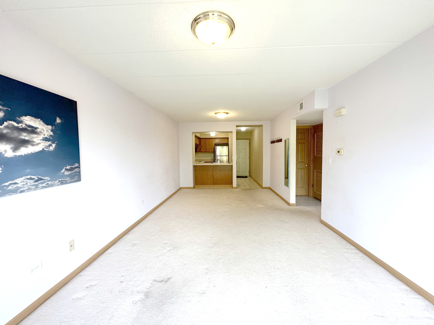 475 West 24th Street, Unit 4G Chicago, IL 60616 - Photo 4 of 20 a view of a big room with closet and windows