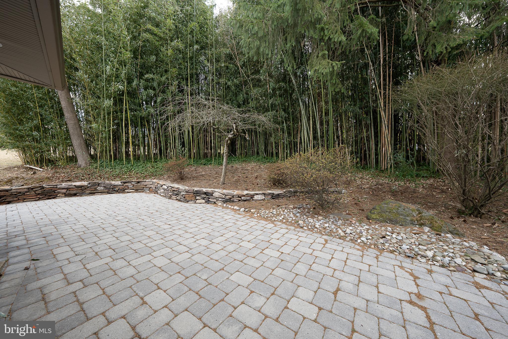 809 Matsons Ford Road Villanova, PA 19085 - Photo 22 of 24 a backyard of a house with large trees and wooden fence