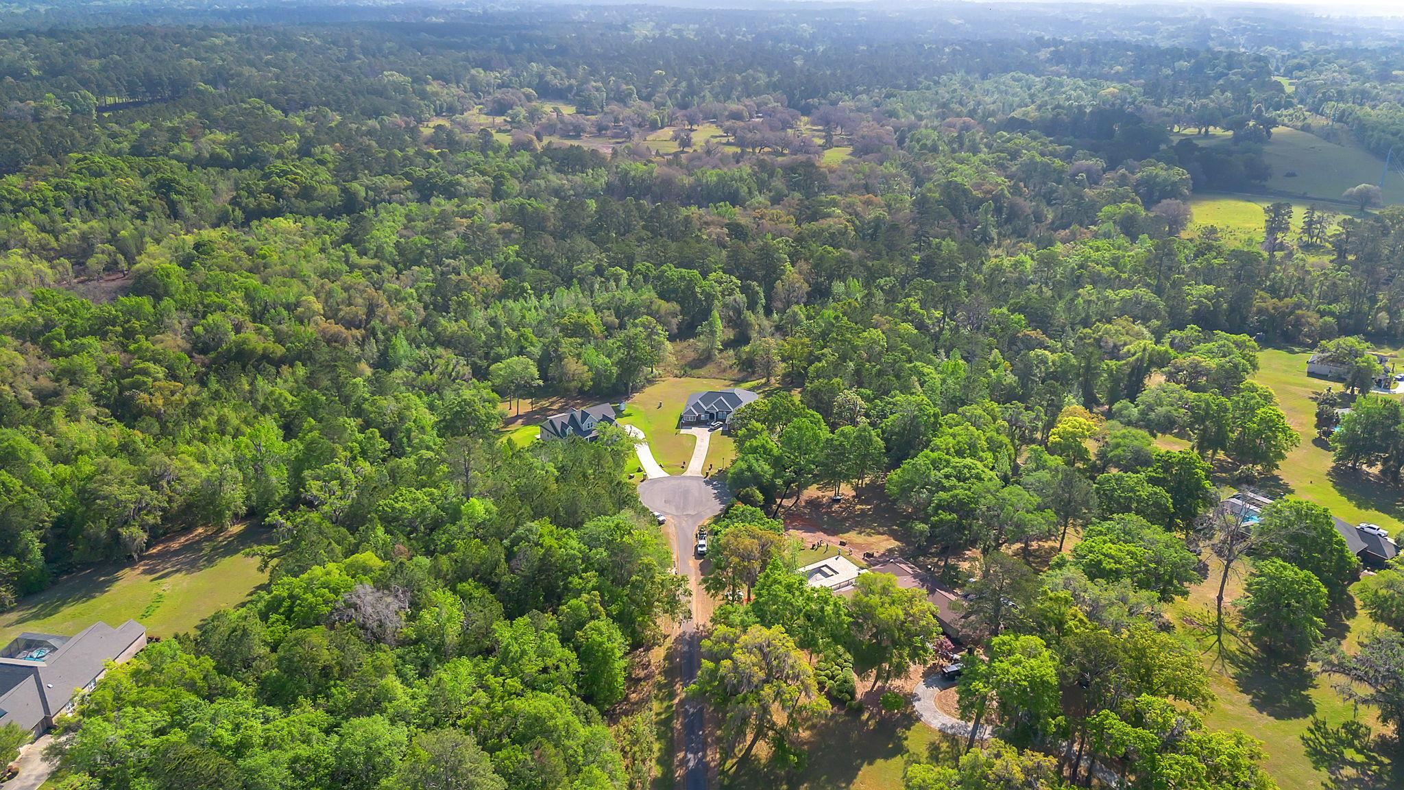 Lot 11 Raspberry Way Tallahassee, FL 32312 - Photo 4 of 10