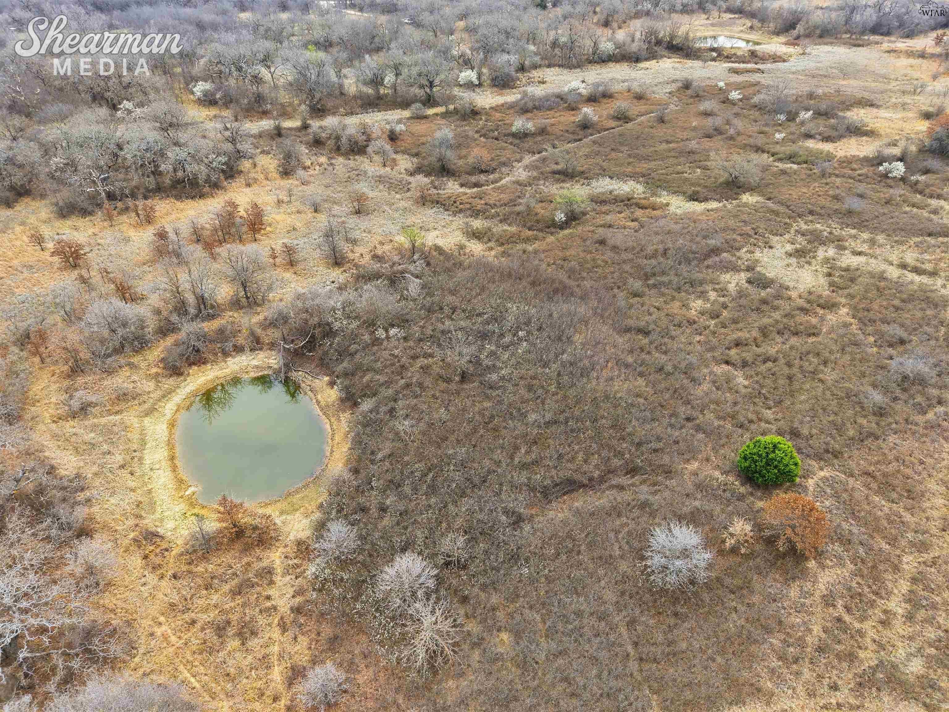Tbd Reeves Road Jacksboro, TX 76458 - Photo 12 of 24 Gallery Image 12