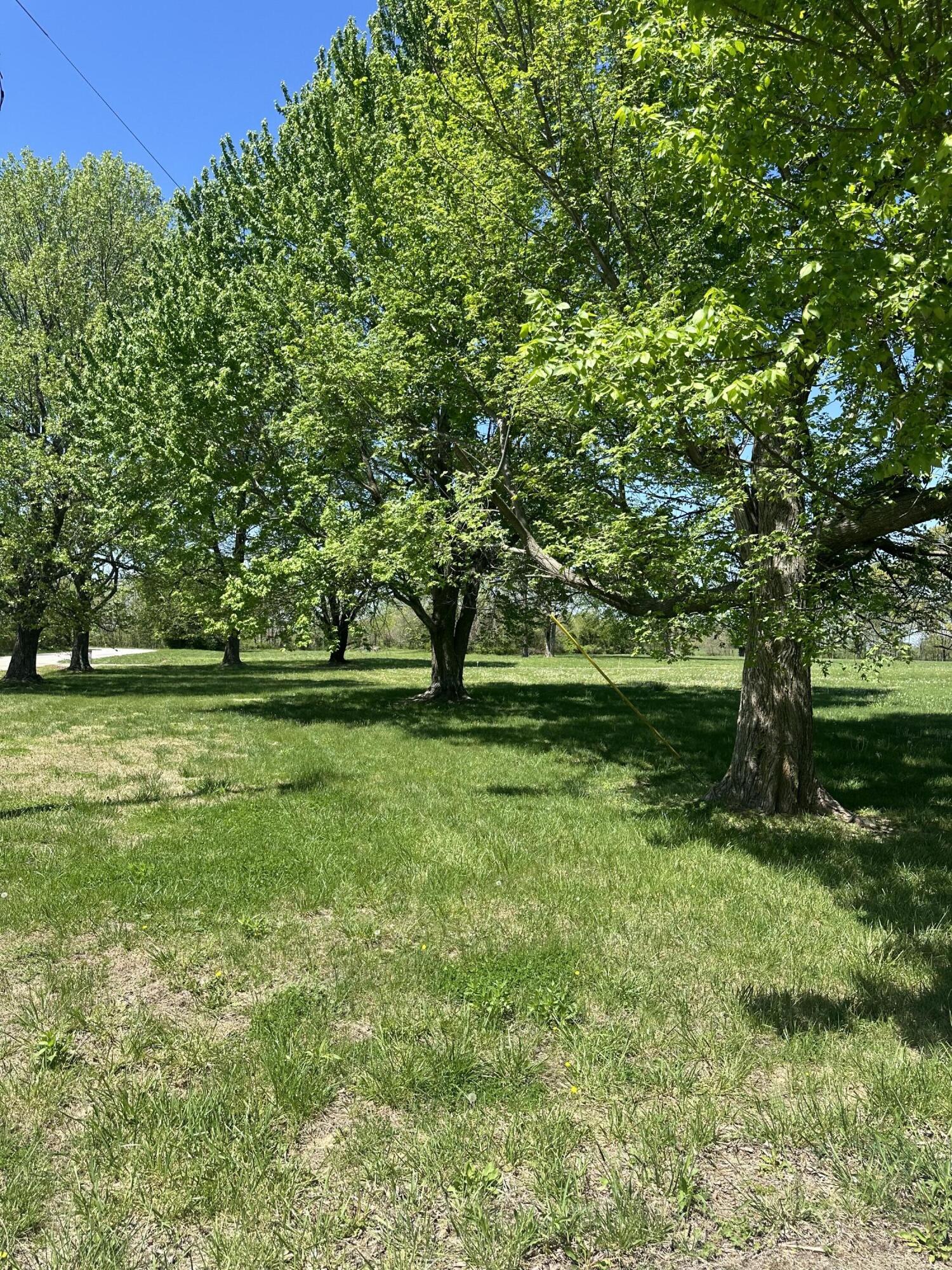 669 Blue Stem Road Ozark, MO 65721 - Photo 1 of 1 IMG_8905