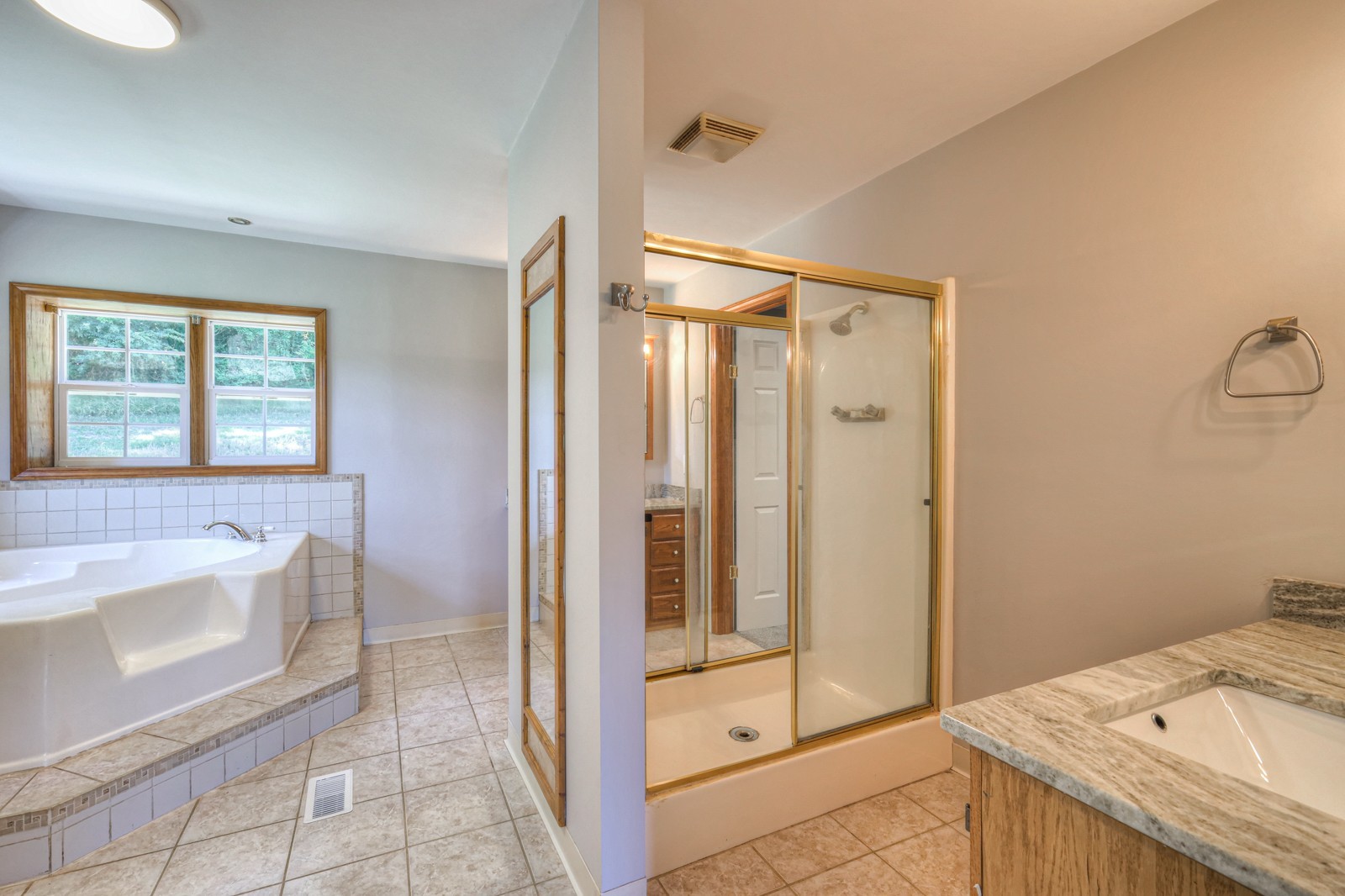 4002 Rippey Lake Road Mount Pleasant, TN 38474 - Photo 22 of 43 a bathroom with a granite countertop sink a mirror and a bathtub