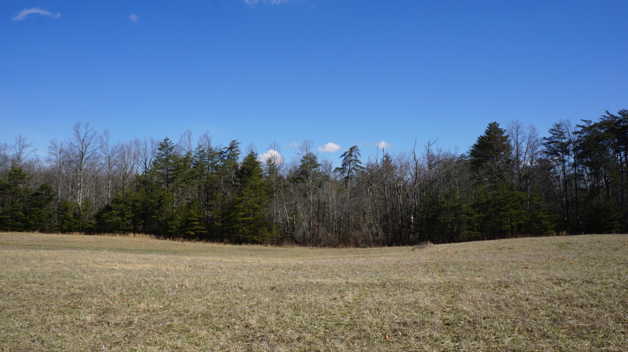 677 Al Goss Road Crossville, TN 38571 - Photo 2 of 18 Gallery Image 2