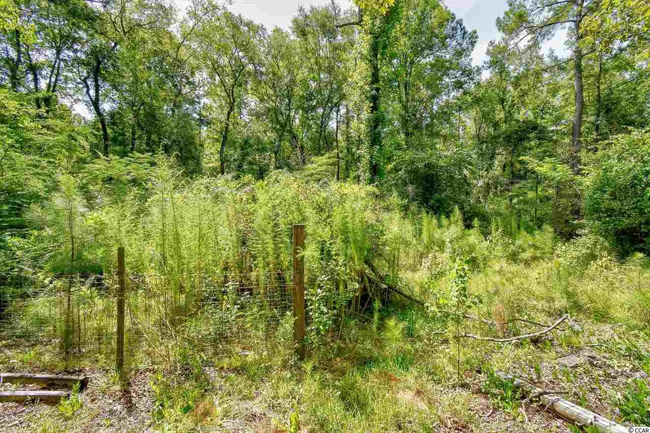 2918 Russell Road Conway, SC 29526 - Photo 26 of 29 Gallery Image 26