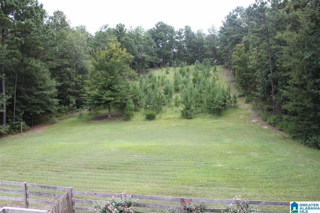 592 County Road 43 Clanton, AL 35046 - Photo 22 of 30