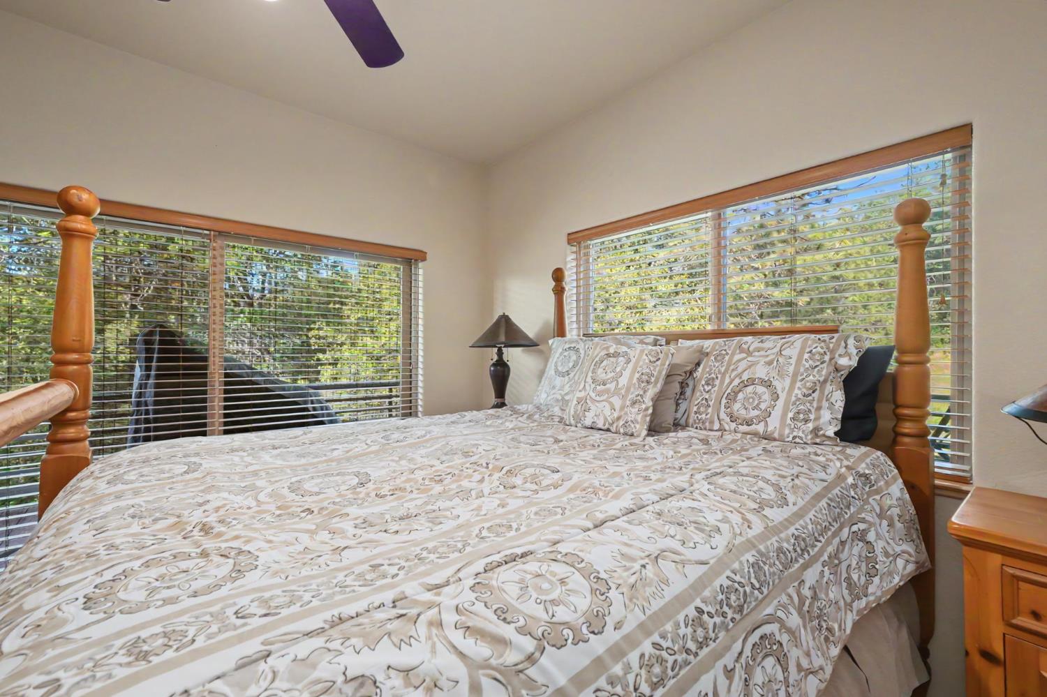 12091 Mierkey Road Jackson, CA 95642 - Photo 60 of 87