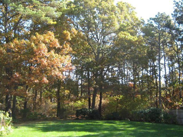 65 Far Fields Road Brewster, MA 02631 - Photo 28 of 32 Additional Photo