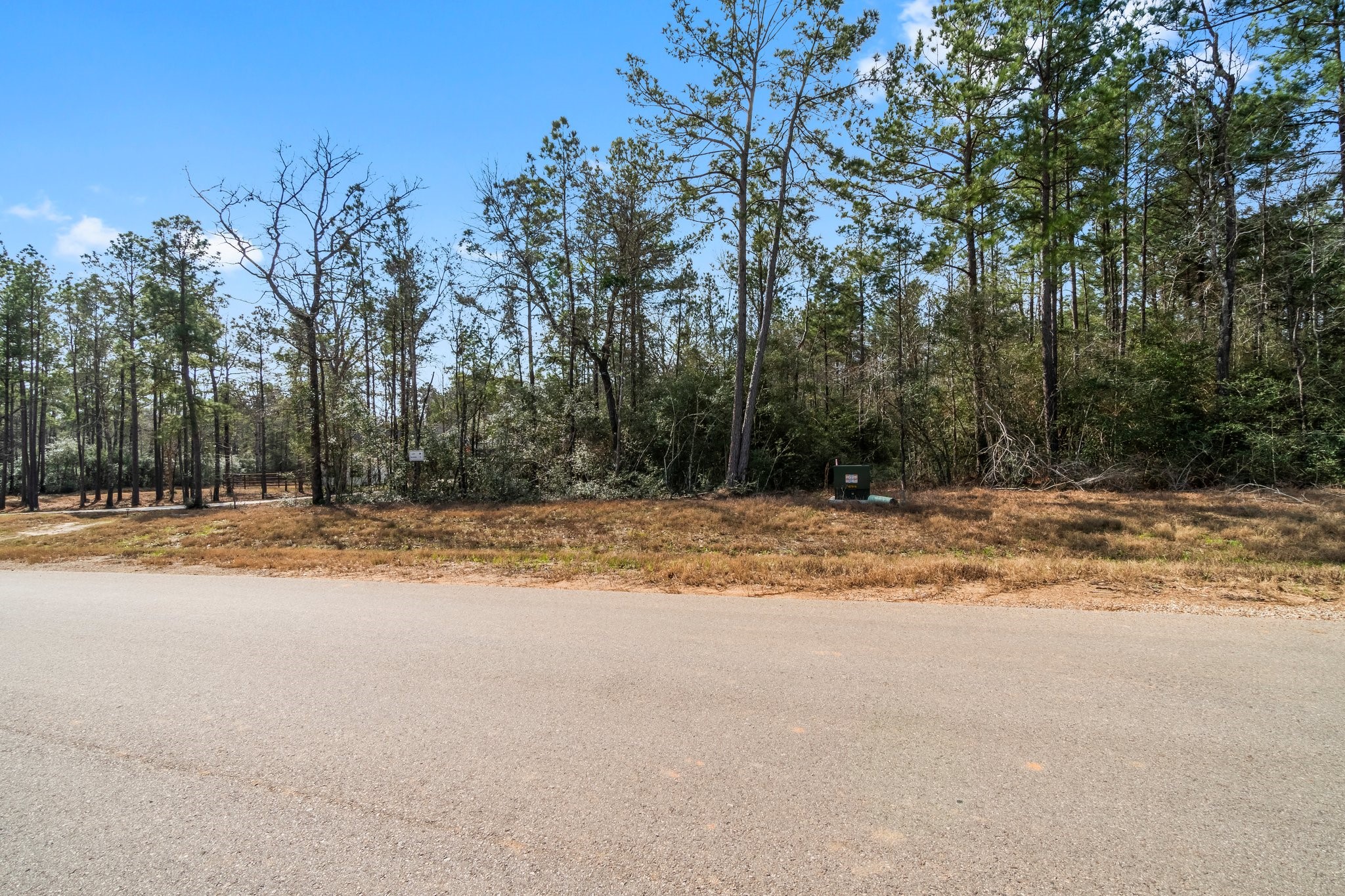 15491 Red Hawk Road Willis, TX 77378 - Photo 7 of 20 a view of a yard with a large tree