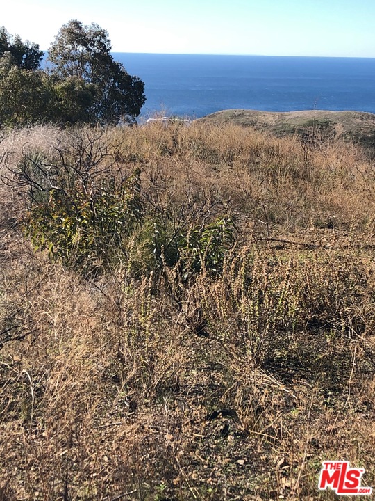 0 Decker Edison Road Malibu, CA 90265 - Photo 5 of 6