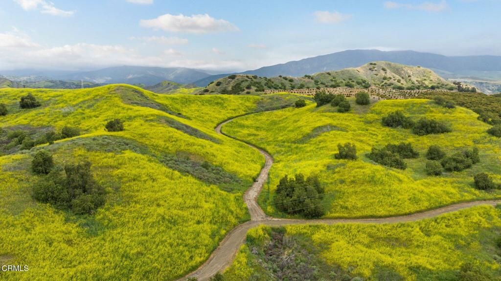 0 Dickenson Road Santa Paula, CA 93060 - Photo 1 of 44 Vast Grasslands