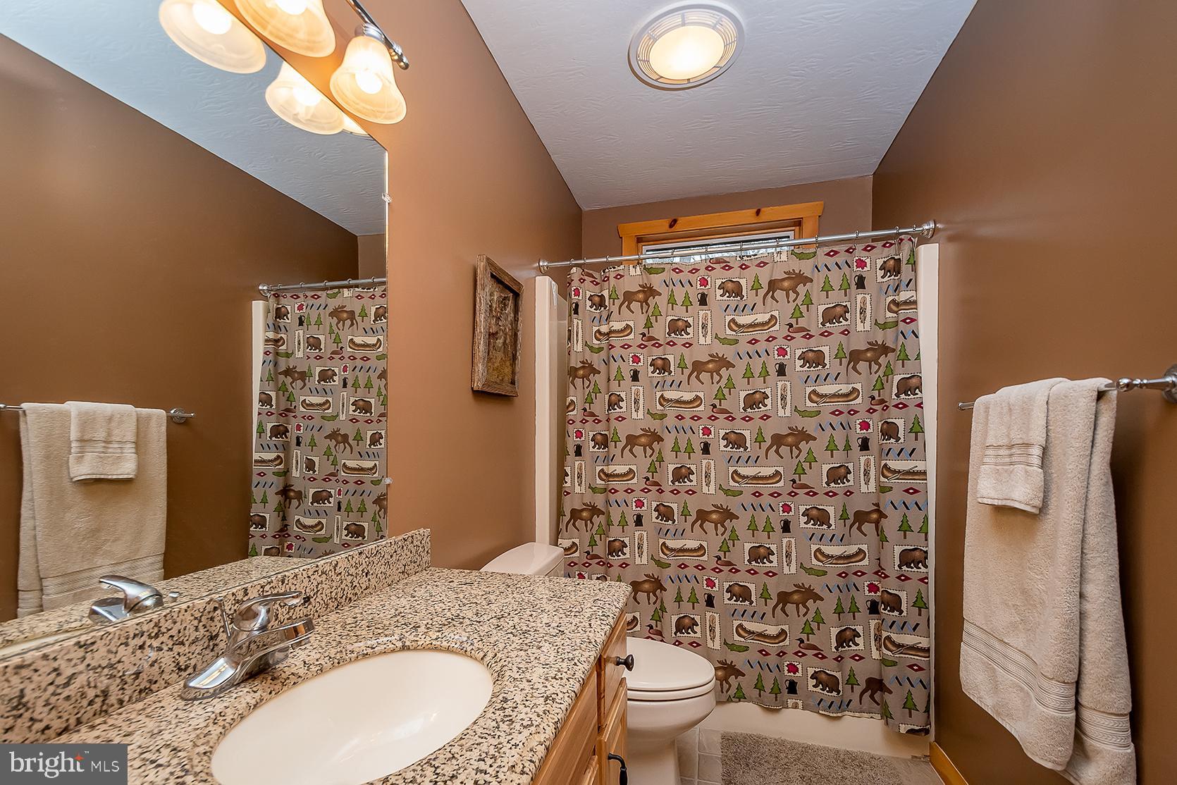 588 Bench Road Swanton, MD 21561 - Photo 37 of 44 Gallery Image 37