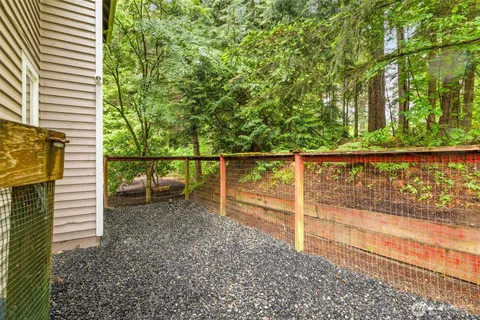 a view of a yard with plants and large trees