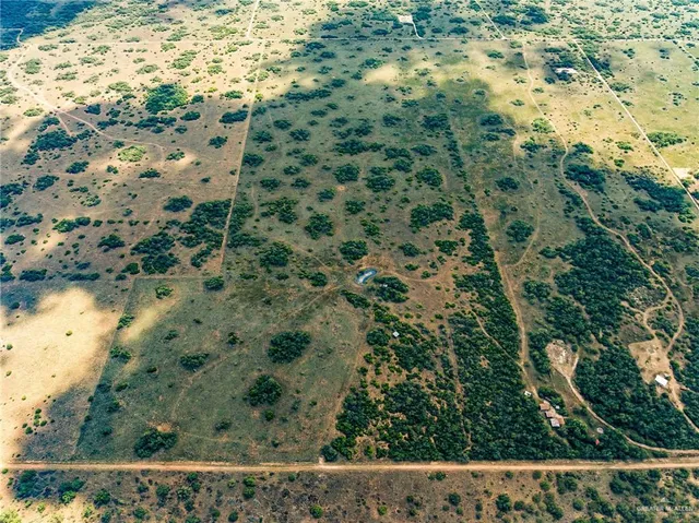 a view of a yard with a wooden fence