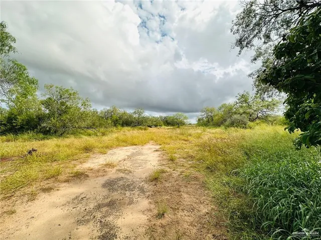 a view of a big yard with lots of green space and fog