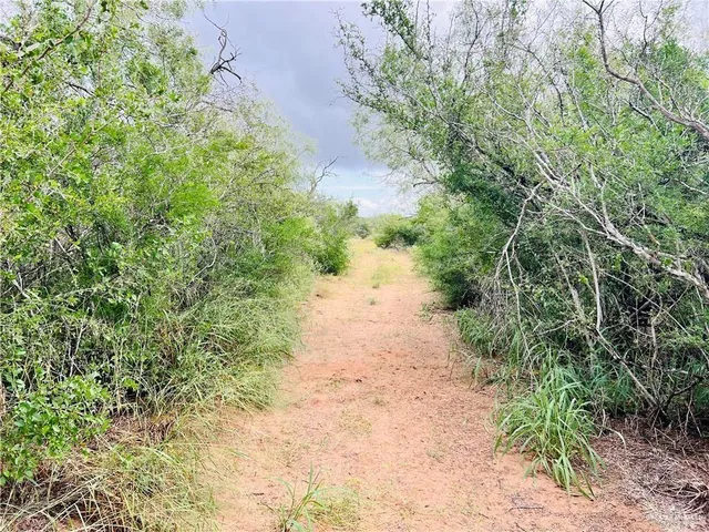 a view of a lake with a yard