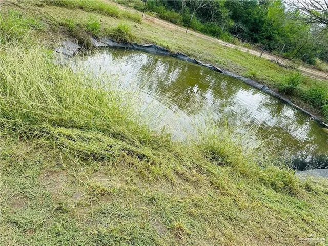 a view of backyard with green space