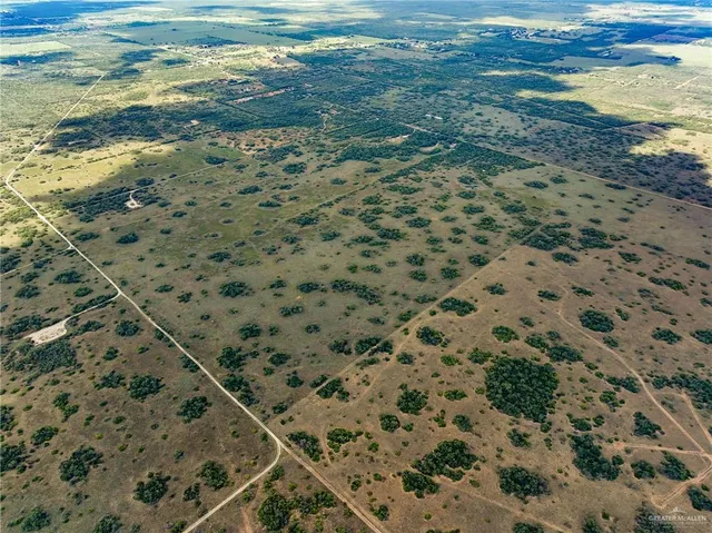 a view of a small yard