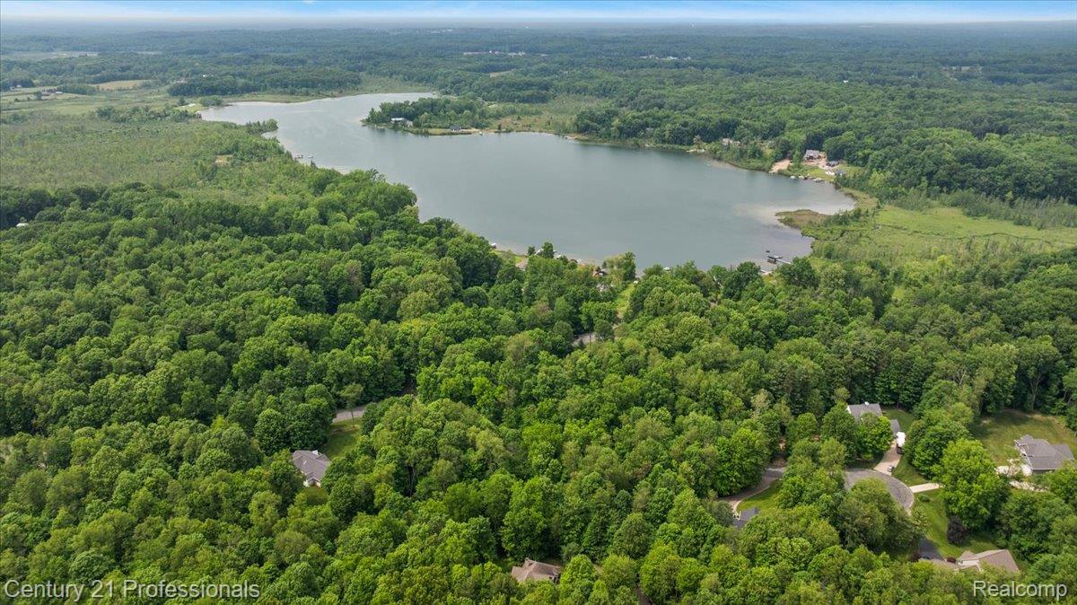 9867 Rainbow Ridge Drive Schoolcraft, MI 49087 - Photo 75 of 82 Expansive forested landscape featuring a prominent lake