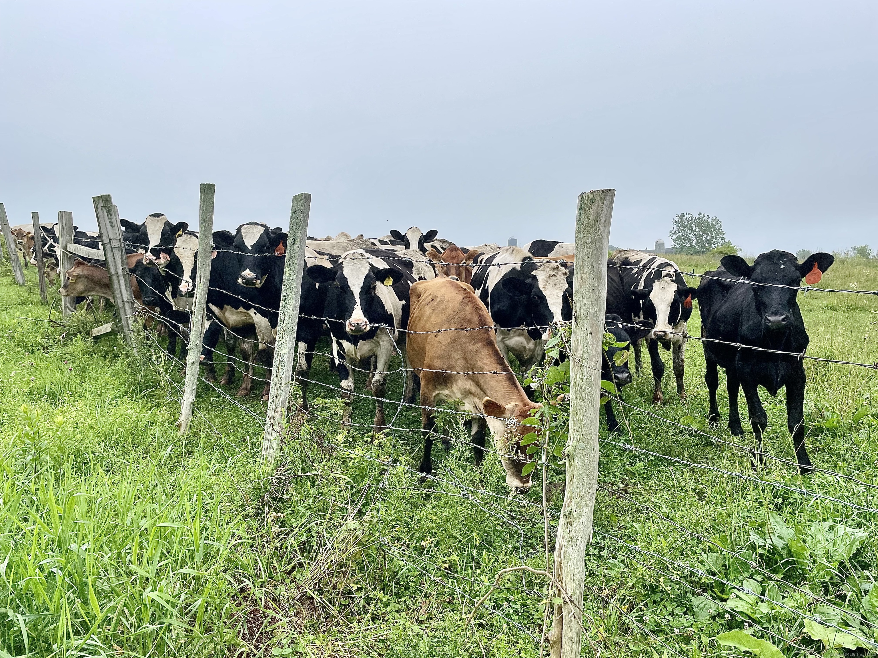 182 Magnolia Hill Road Bethlehem, CT 06751 - Photo 23 of 40