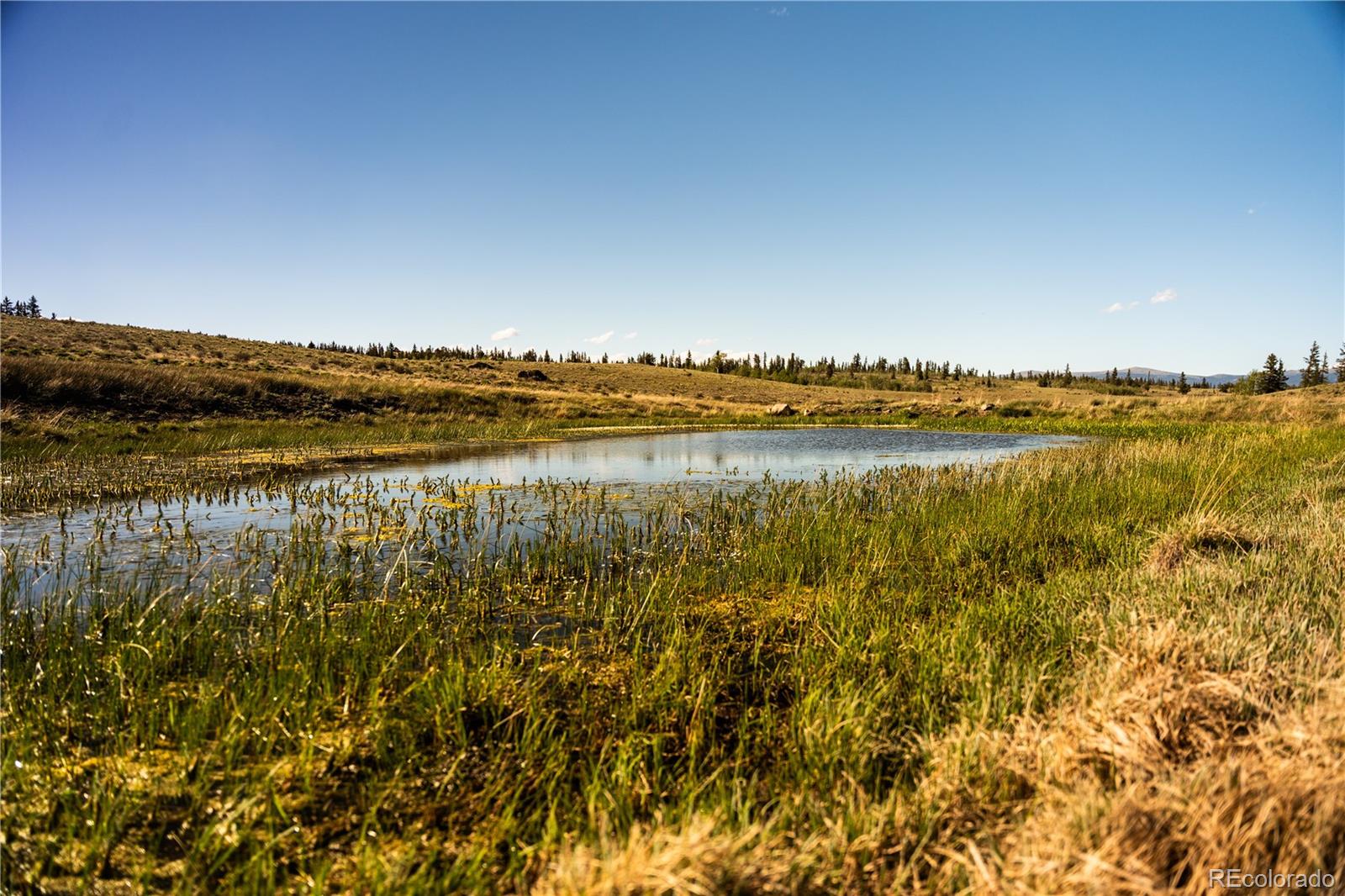 1280 Antler Ridge Road Como, CO 80432 - Photo 45 of 50