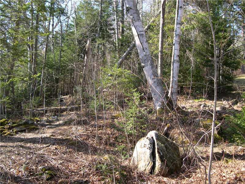 129 2 Rod Road Rangeley, ME 04970 - Photo 9 of 26 Yard/Garden. Wooded front yard