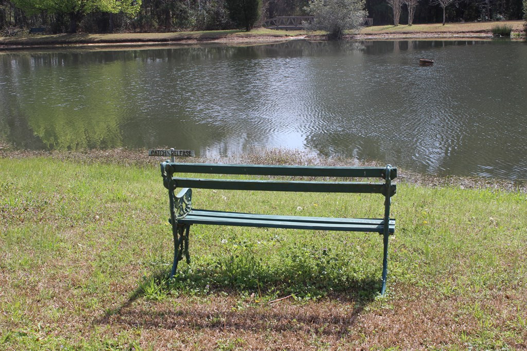 4 Peter Collinson Road Santee, SC 29142 - Photo 34 of 50 Gallery Image 34