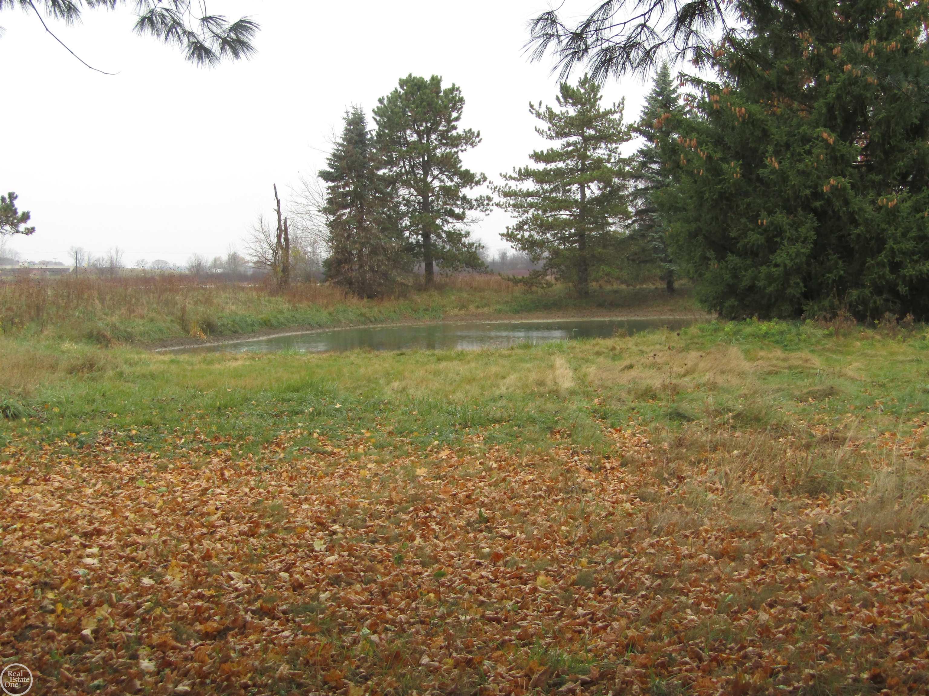 14870 Sharrard Road Allenton, MI 48002 - Photo 15 of 29