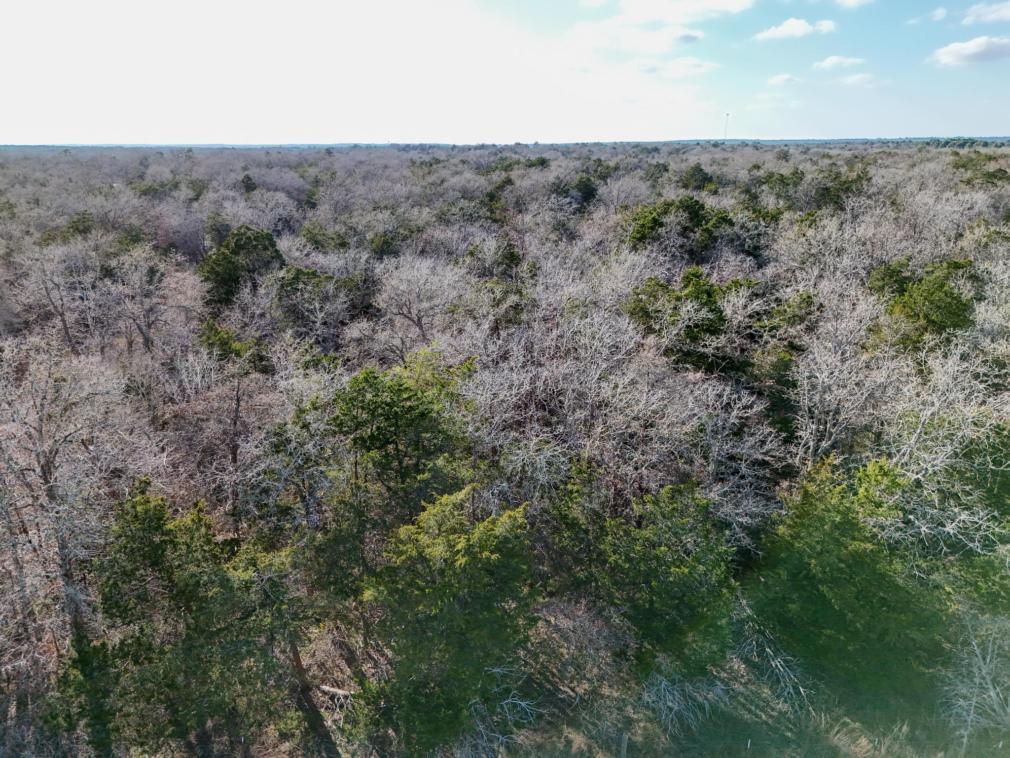 Lot 7 South Old Potato Road Paige, TX 78659 - Photo 12 of 22 Drone / aerial view