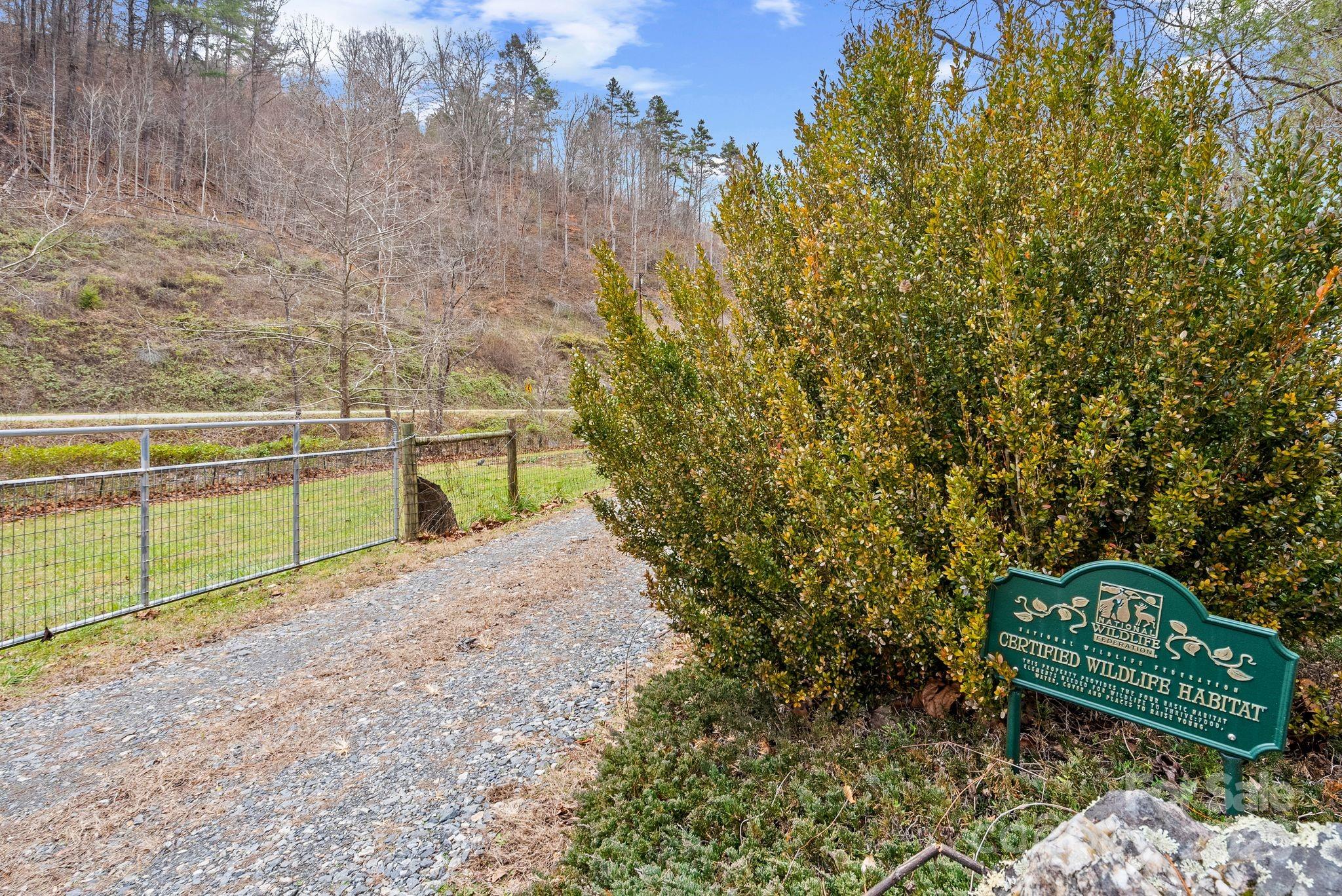 3115 Little Pine Road Marshall, NC 28753 - Photo 27 of 46