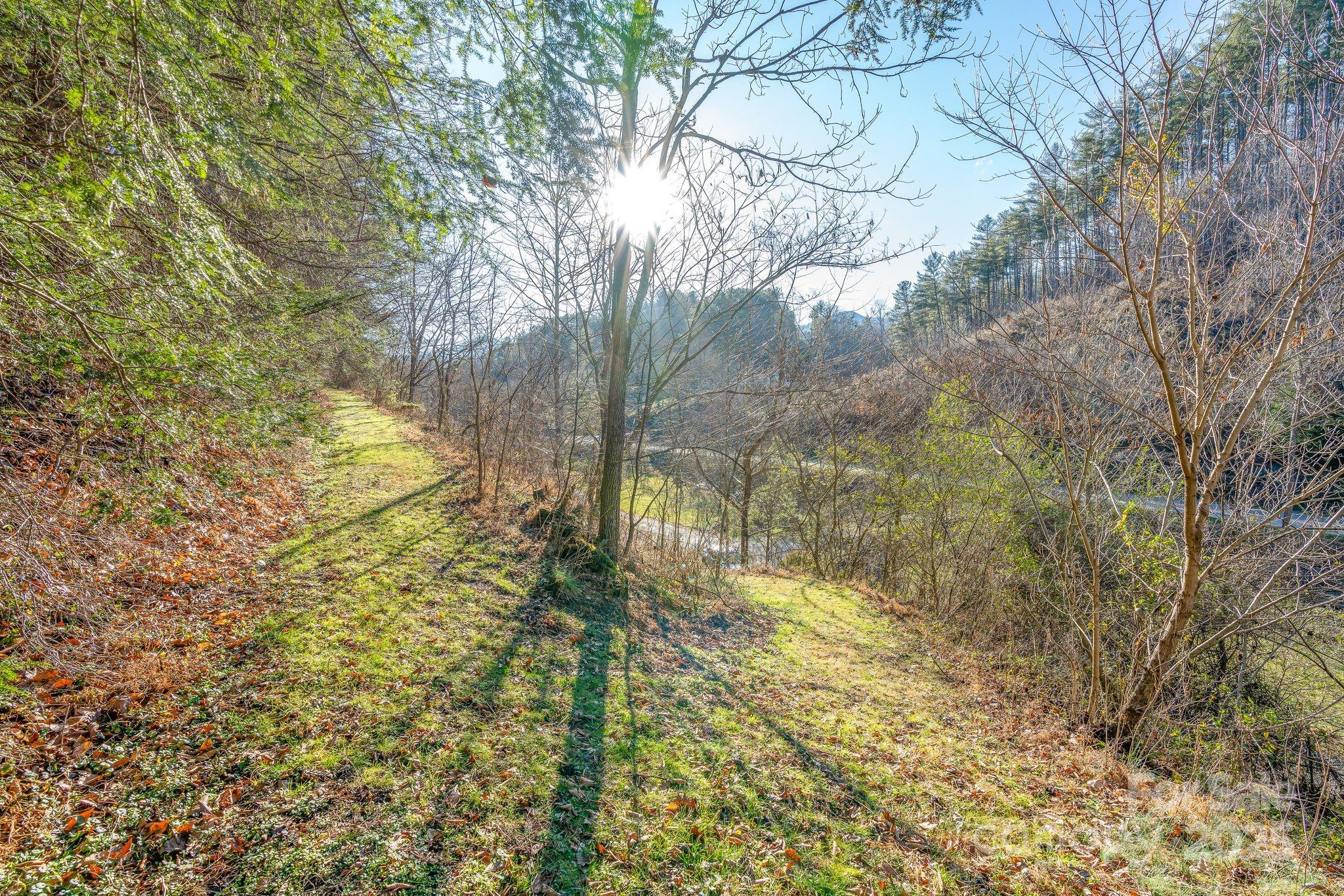 3115 Little Pine Road Marshall, NC 28753 - Photo 28 of 46