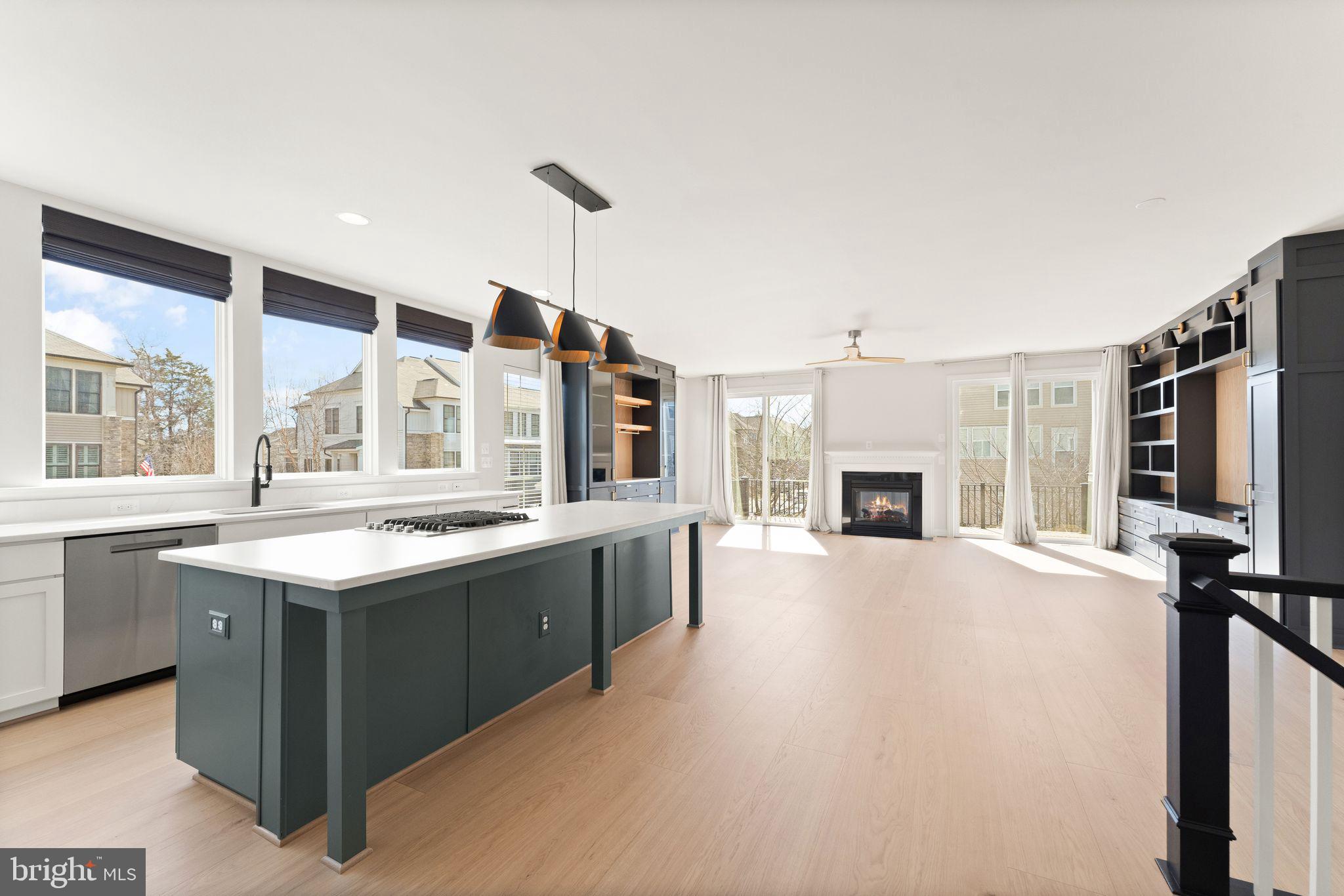 42295 Riggins Ridge Terrace Brambleton, VA 20148 - Photo 17 of 69 Gourmet kitchen