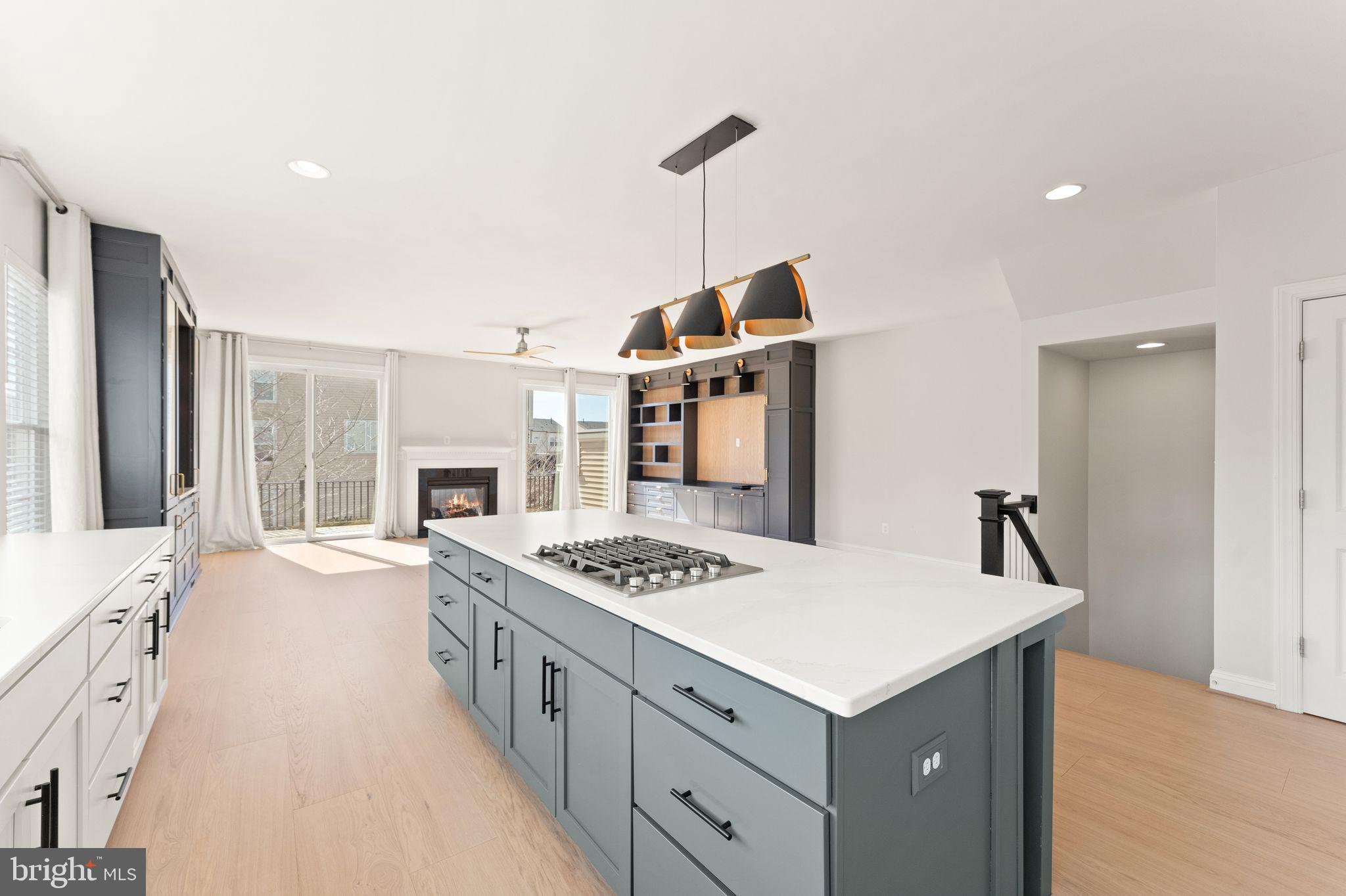 42295 Riggins Ridge Terrace Brambleton, VA 20148 - Photo 19 of 69 Upgraded quartz kitchen countertops