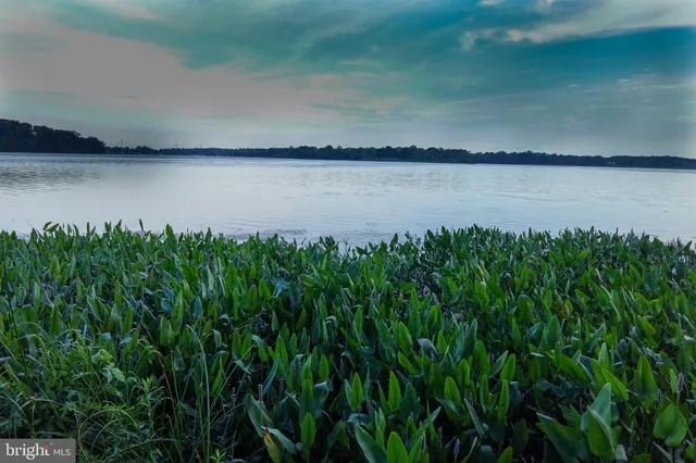 a view of a lake from a yard