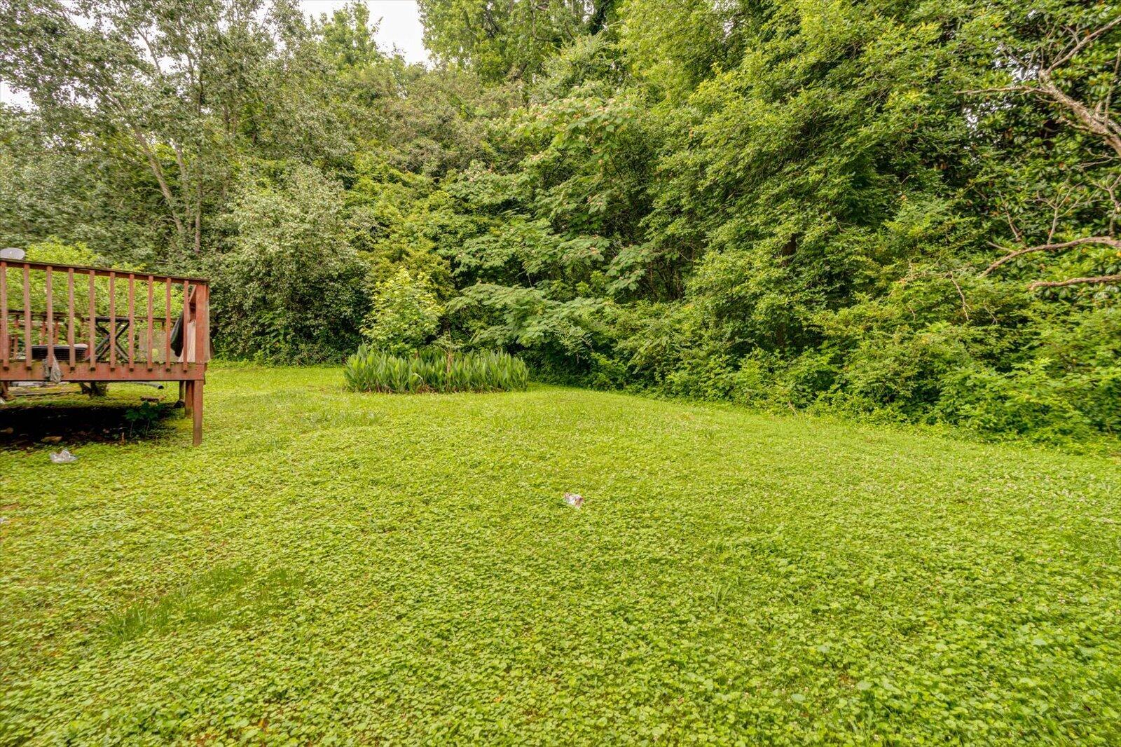 86 Bluff View Circle Flintstone, GA 30725 - Photo 21 of 23 25-86 Bluff View Cir-25